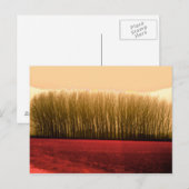 樹木 ポストカード (正面/裏面)