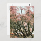 樹木 ポストカード (正面/裏面)