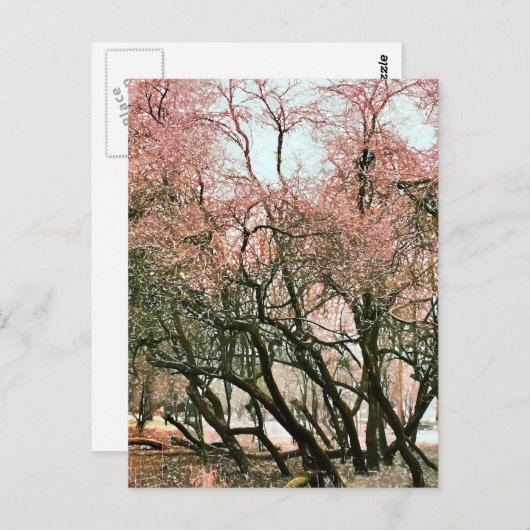 樹木 ポストカード (正面/裏面)