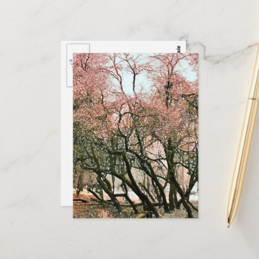 樹木 ポストカード (正面/裏面インサイチュ)