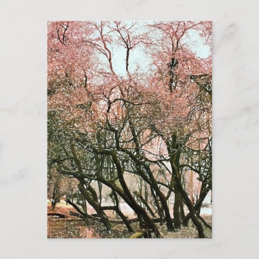 樹木 ポストカード (正面)