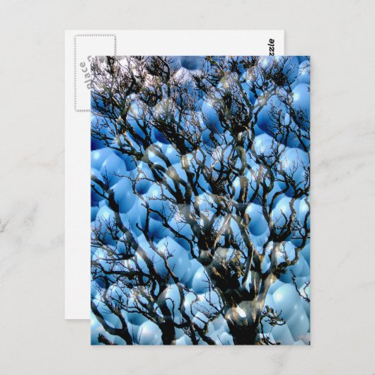 樹木 ポストカード (正面/裏面)
