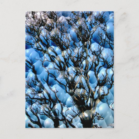 樹木 ポストカード (正面)