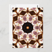 樹木 ポストカード (正面/裏面)