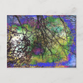 樹木 ポストカード (正面)