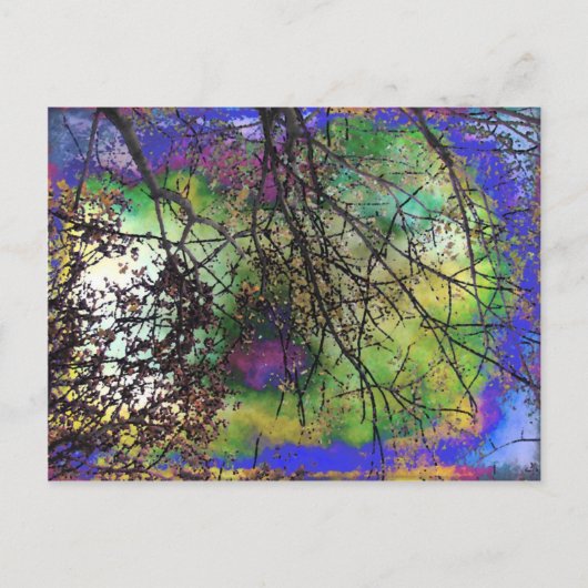 樹木 ポストカード (正面)