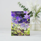 樹木 ポストカード (スタンド正面)