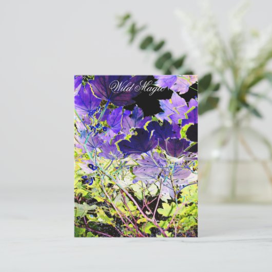 樹木 ポストカード (スタンド正面)