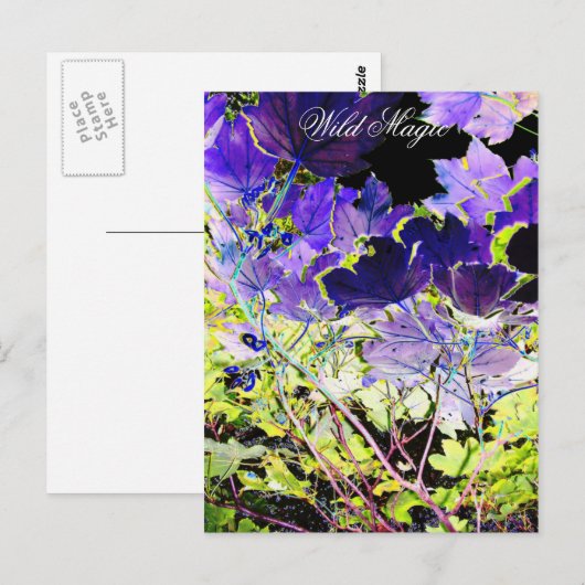 樹木 ポストカード (正面/裏面)