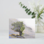 樹木 ポストカード (スタンド正面)