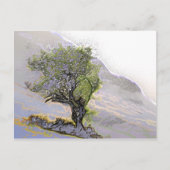 樹木 ポストカード (正面)