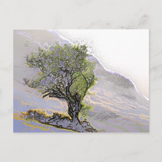樹木 ポストカード (正面)