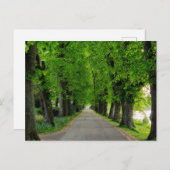 樹木 ポストカード (正面/裏面)