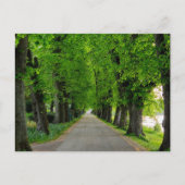 樹木 ポストカード (正面)