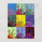 樹木 ポストカード (正面)