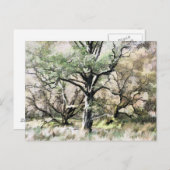 樹木 ポストカード (正面/裏面)