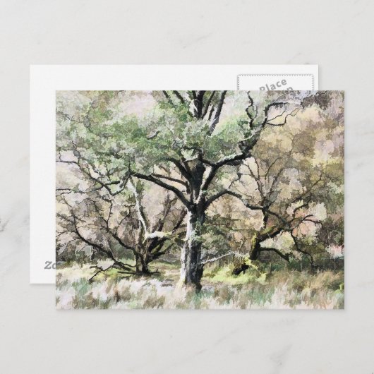 樹木 ポストカード (正面/裏面)