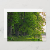 樹木 ポストカード (正面/裏面)