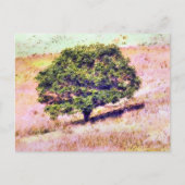 樹木 ポストカード (正面)