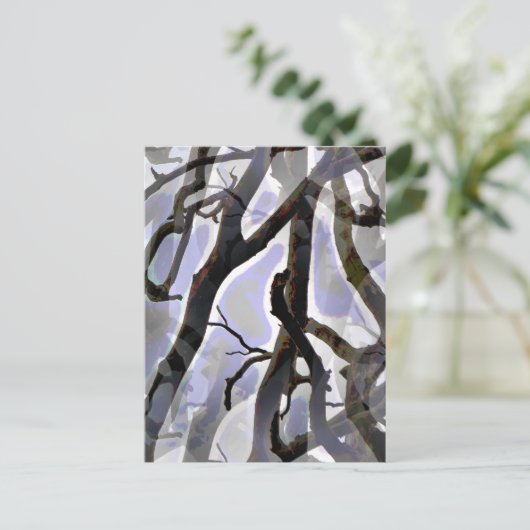 樹木 ポストカード (スタンド正面)