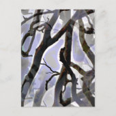 樹木 ポストカード (正面)