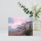 樹木 ポストカード (スタンド正面)