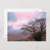 樹木 ポストカード (正面/裏面)