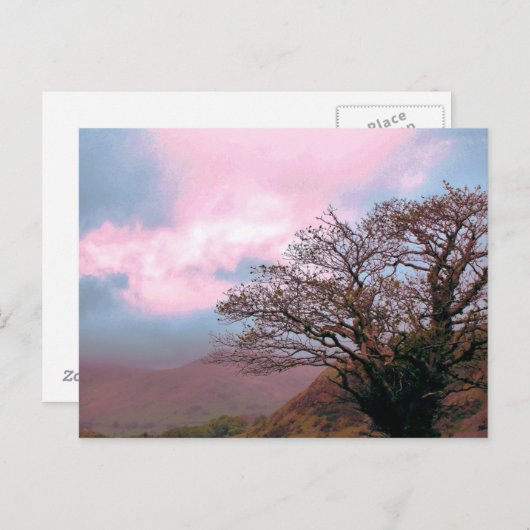 樹木 ポストカード (正面/裏面)