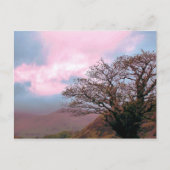 樹木 ポストカード (正面)
