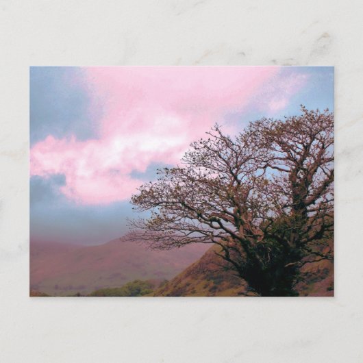 樹木 ポストカード (正面)