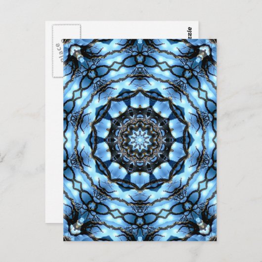 樹木 ポストカード (正面/裏面)