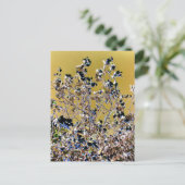 樹木 ポストカード (スタンド正面)