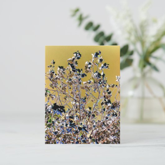 樹木 ポストカード (スタンド正面)