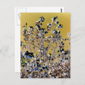 樹木 ポストカード (正面/裏面)