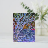 樹木 ポストカード (スタンド正面)