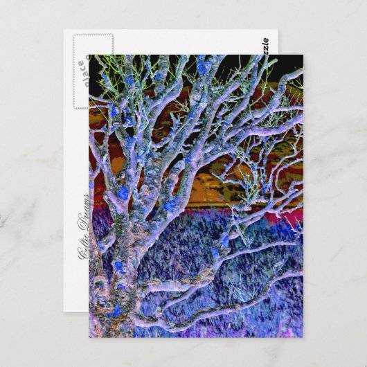 樹木 ポストカード (正面/裏面)