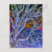 樹木 ポストカード (正面)