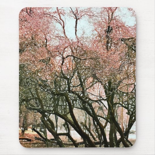 樹木 マウスパッド (正面)