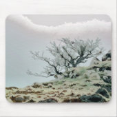 樹木 マウスパッド (正面)