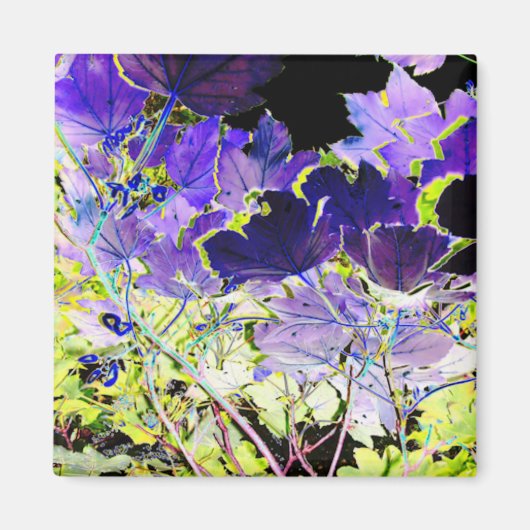 樹木 マグネット (正面)