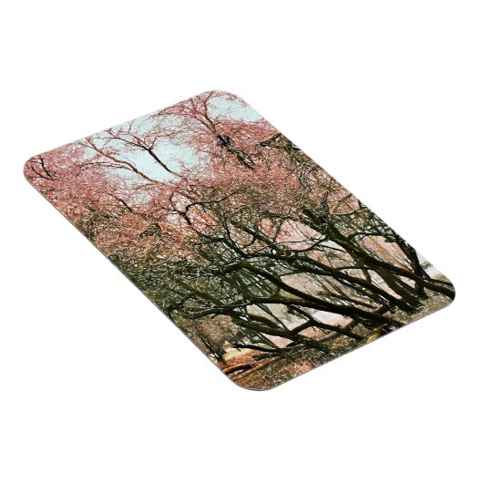 樹木 マグネット (右側)