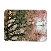 樹木 マグネット (横)