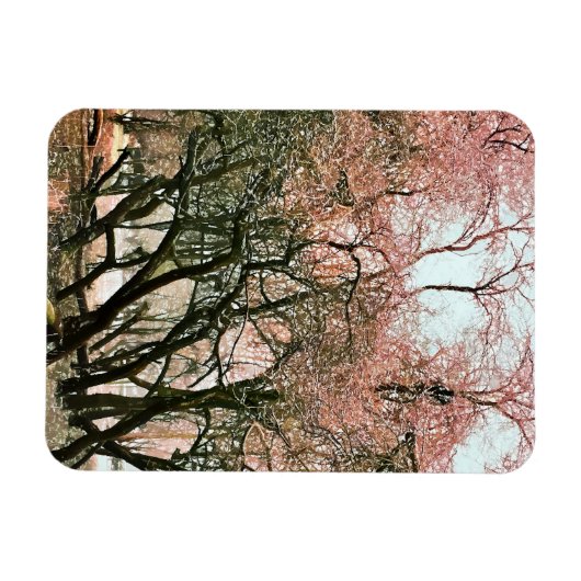 樹木 マグネット (横)