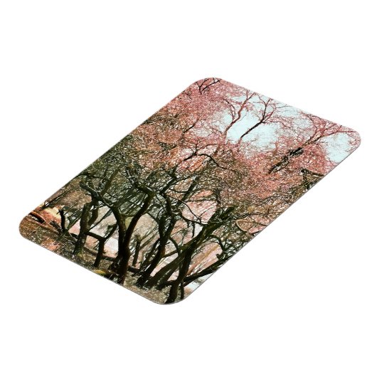 樹木 マグネット (左側)