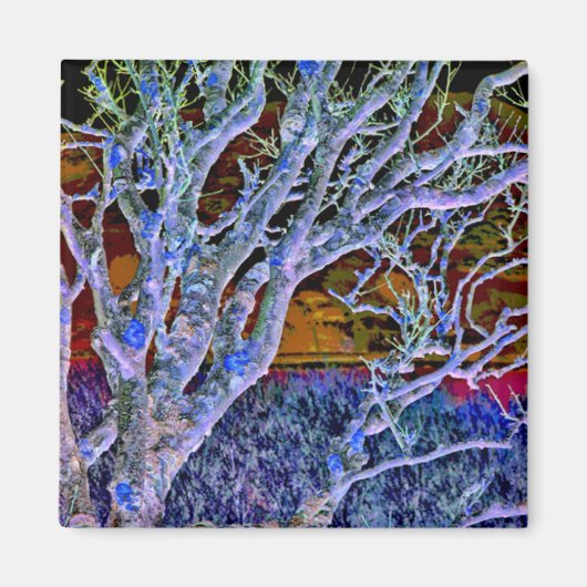 樹木 マグネット (正面)