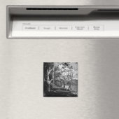 樹木 マグネット (インサイチュ (食洗機))