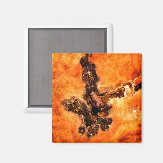 樹木 マグネット (正面/裏面)