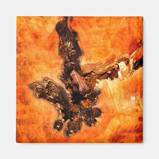 樹木 マグネット (正面)