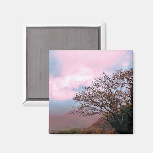 樹木 マグネット (正面/裏面)