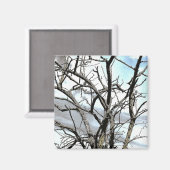 樹木 マグネット (正面/裏面)